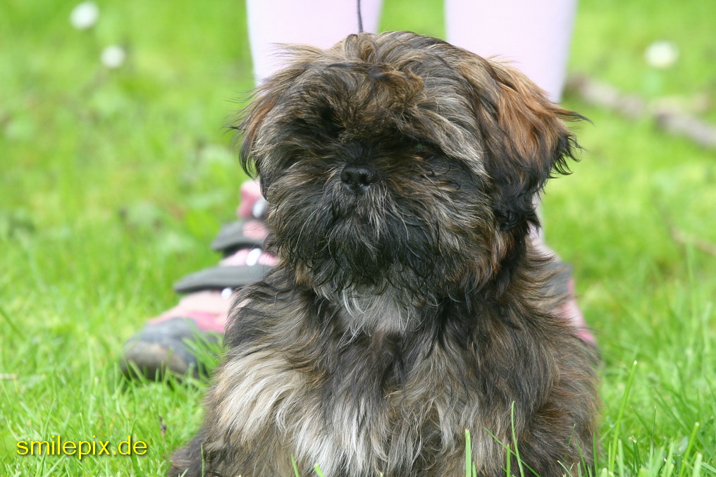 Goettingen 26.4.08 (17)